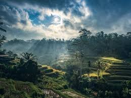 Eco Tourism